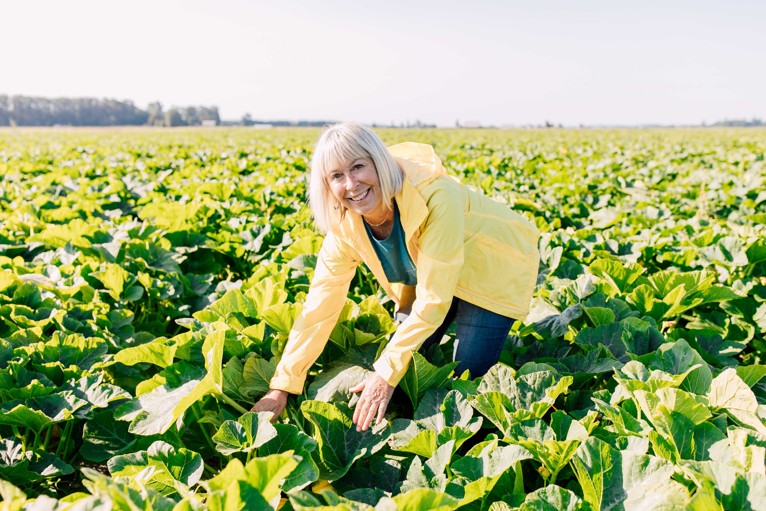 Woman in a yellow jacket standing in a field of green plants