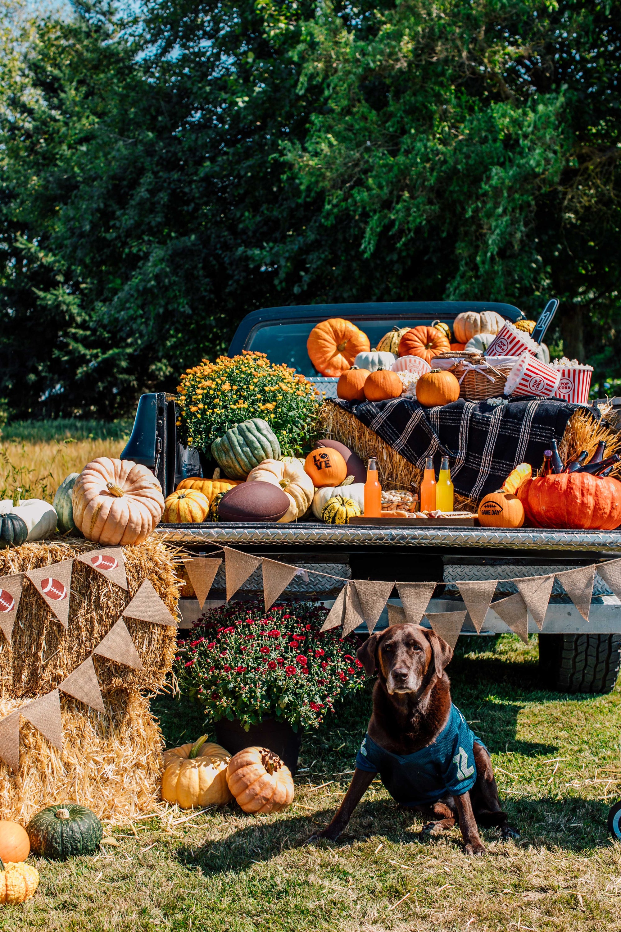 Dog sitting in front of a truck bed filled with pumpkins and autumn decorations outdoors.