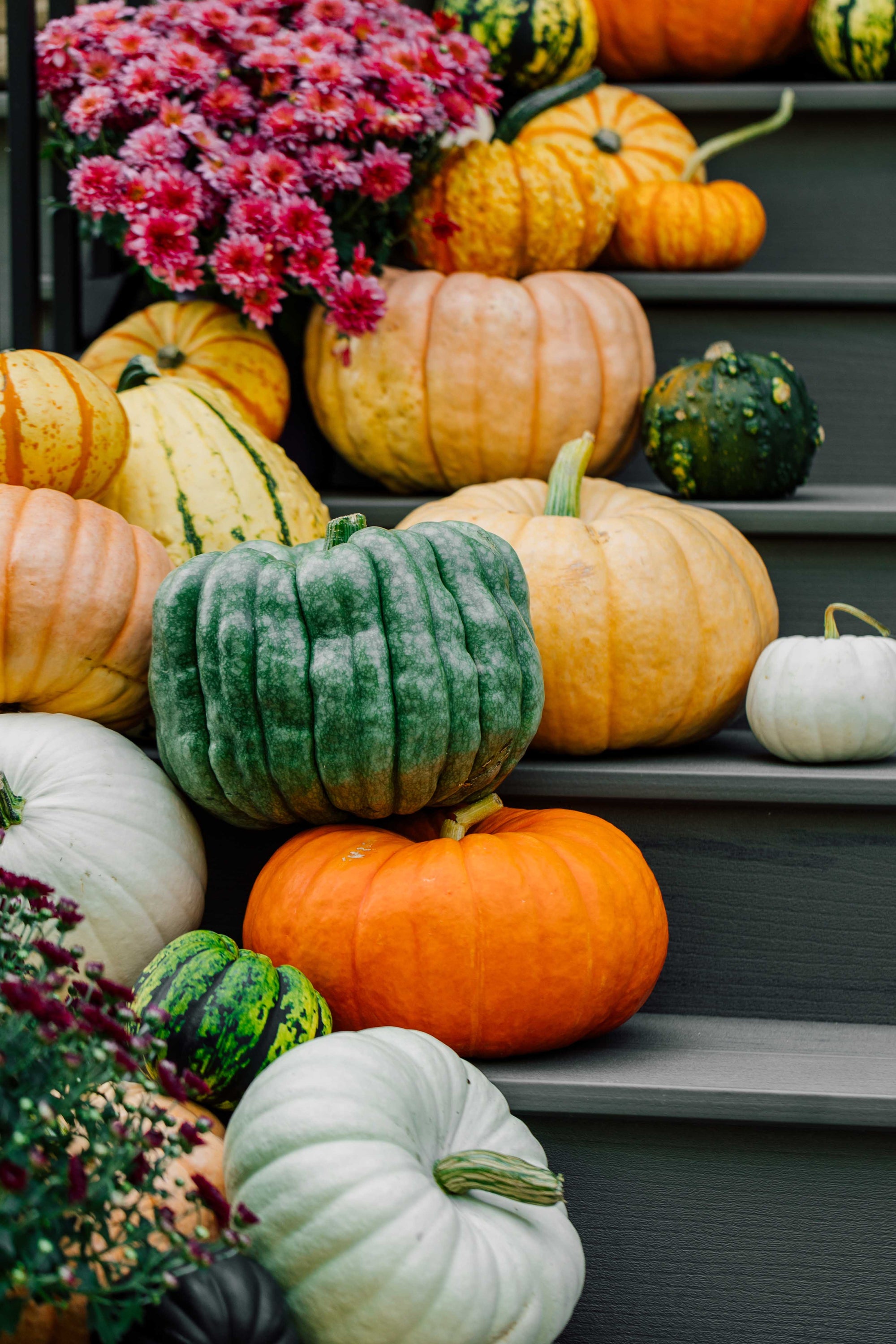 Colorful pumpkins and gourds on a staircase with flowers.