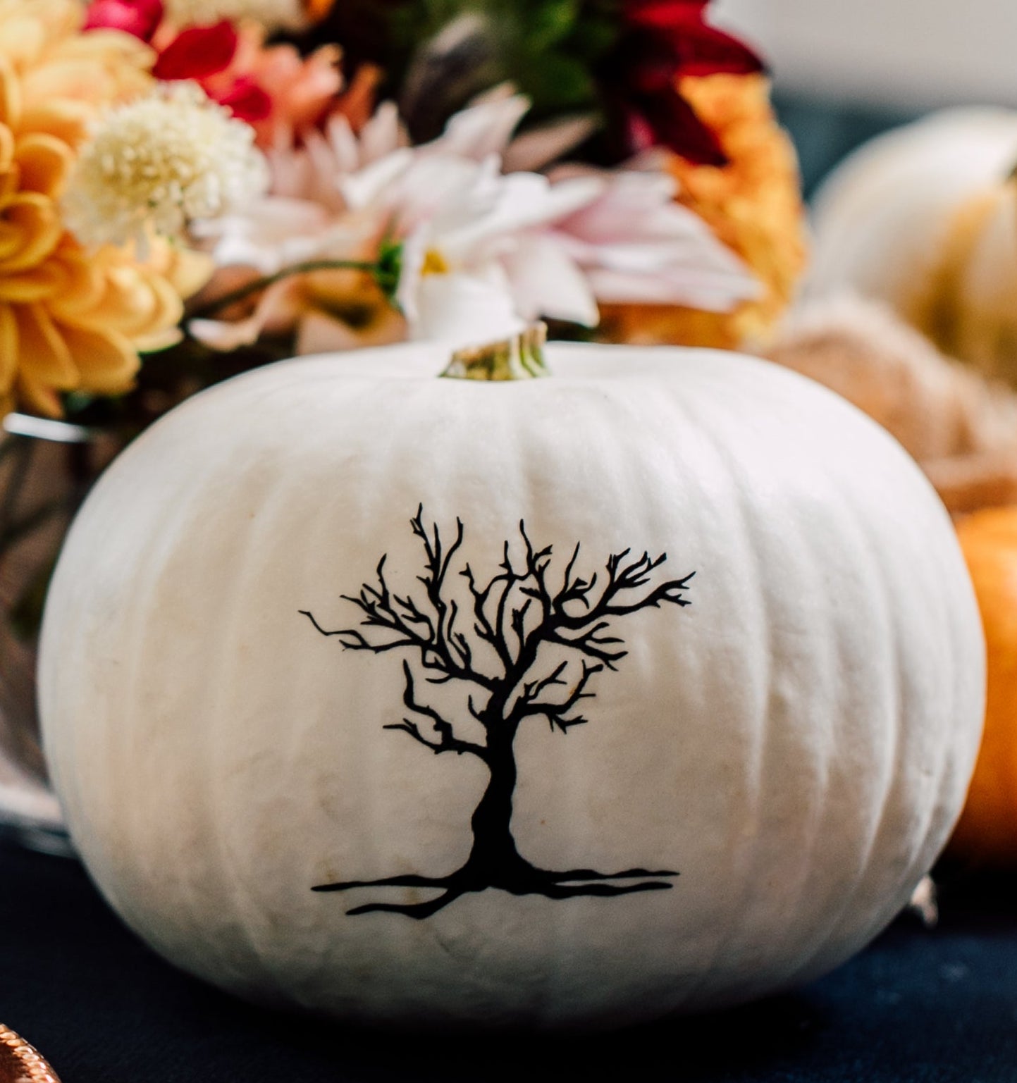 White pumpkin with a black tree silhouette on a blurred autumn background