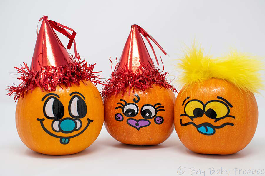 12 CT Original Pumpkin Patch Pals Painted Pumpkins